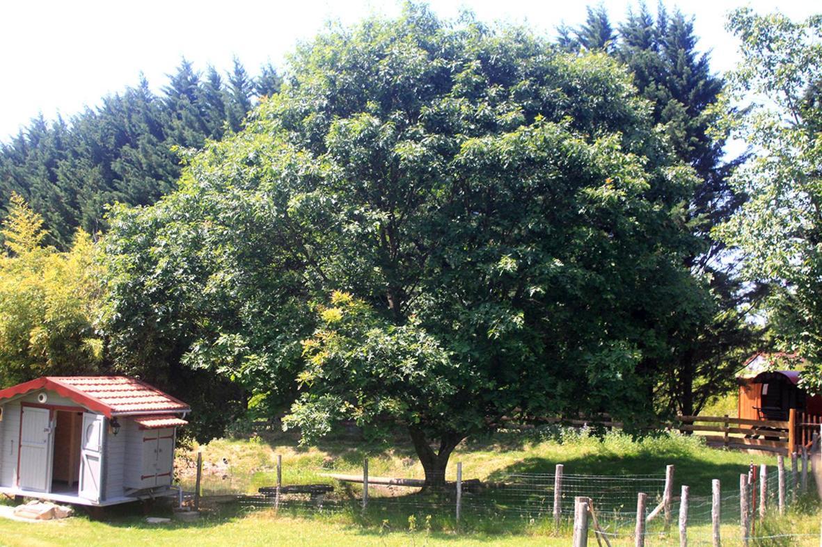 Tente Trappeur Ada, Au Jardin De La Vouivre Saint-Vincent-en-Bresse Ngoại thất bức ảnh