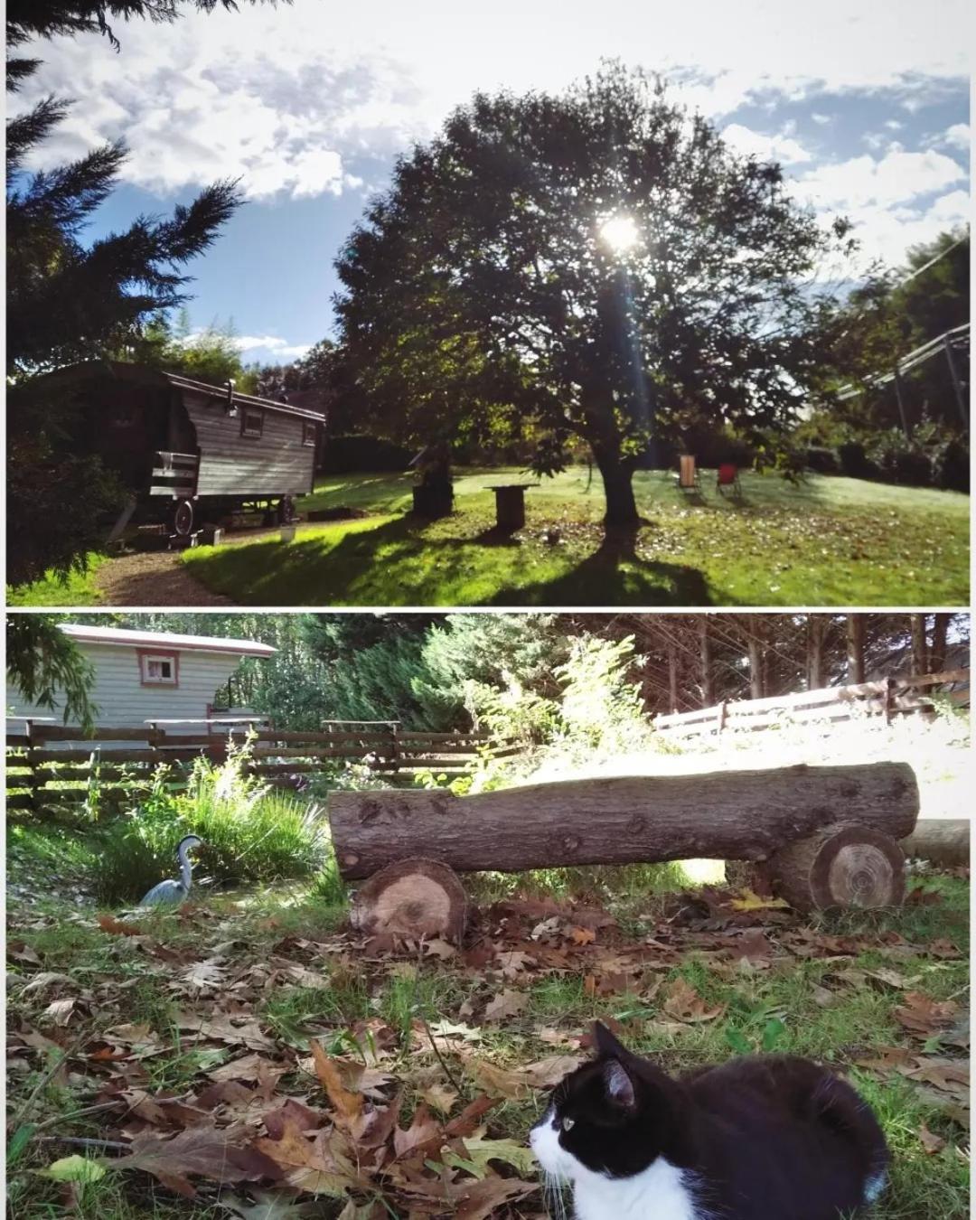 Tente Trappeur Ada, Au Jardin De La Vouivre Saint-Vincent-en-Bresse Ngoại thất bức ảnh