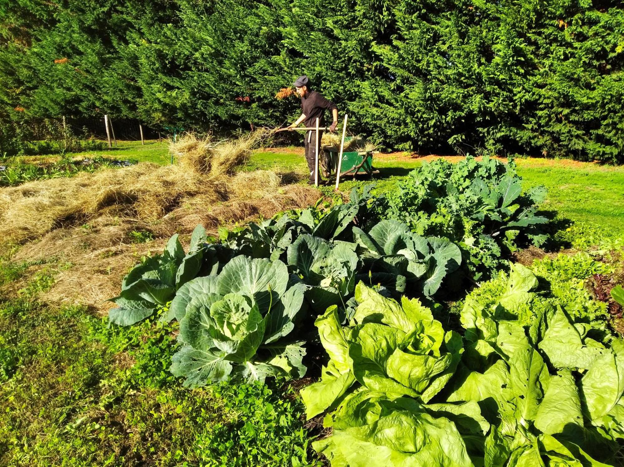 Tente Trappeur Ada, Au Jardin De La Vouivre Saint-Vincent-en-Bresse Ngoại thất bức ảnh