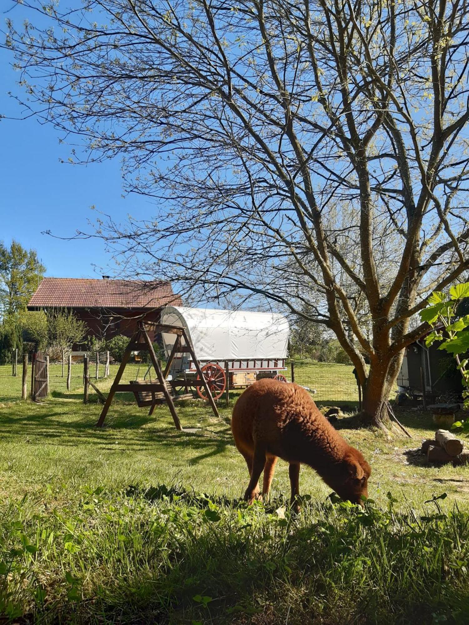 Tente Trappeur Ada, Au Jardin De La Vouivre Saint-Vincent-en-Bresse Ngoại thất bức ảnh